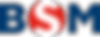 bsm