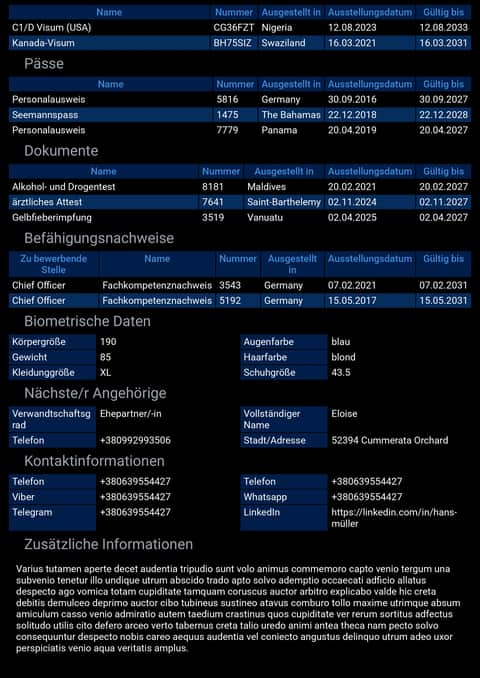 Formular auf dem Telefon Mobiles Seemann-Formular