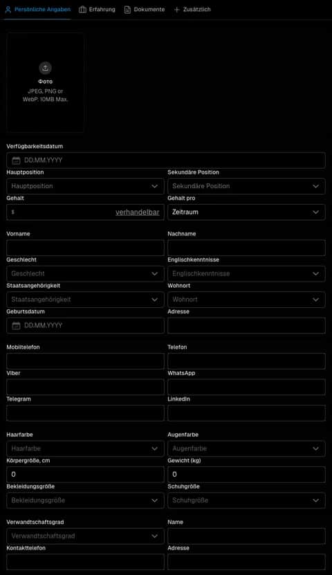 Light theme Classic application form